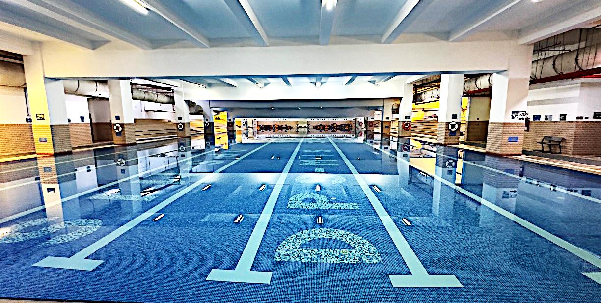 Indoor pool with a mosaic floor emblem